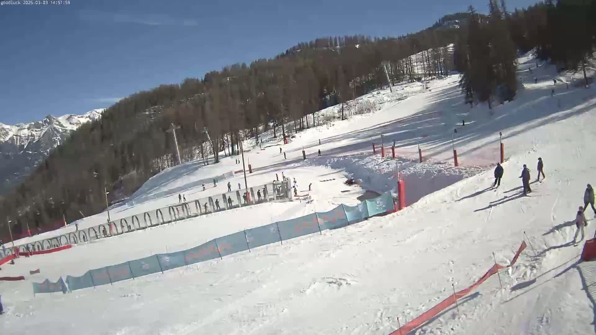 A snow-covered ski slope with several skiers and snowboarders, backed by a forest and mountains under a clear, sunny sky.