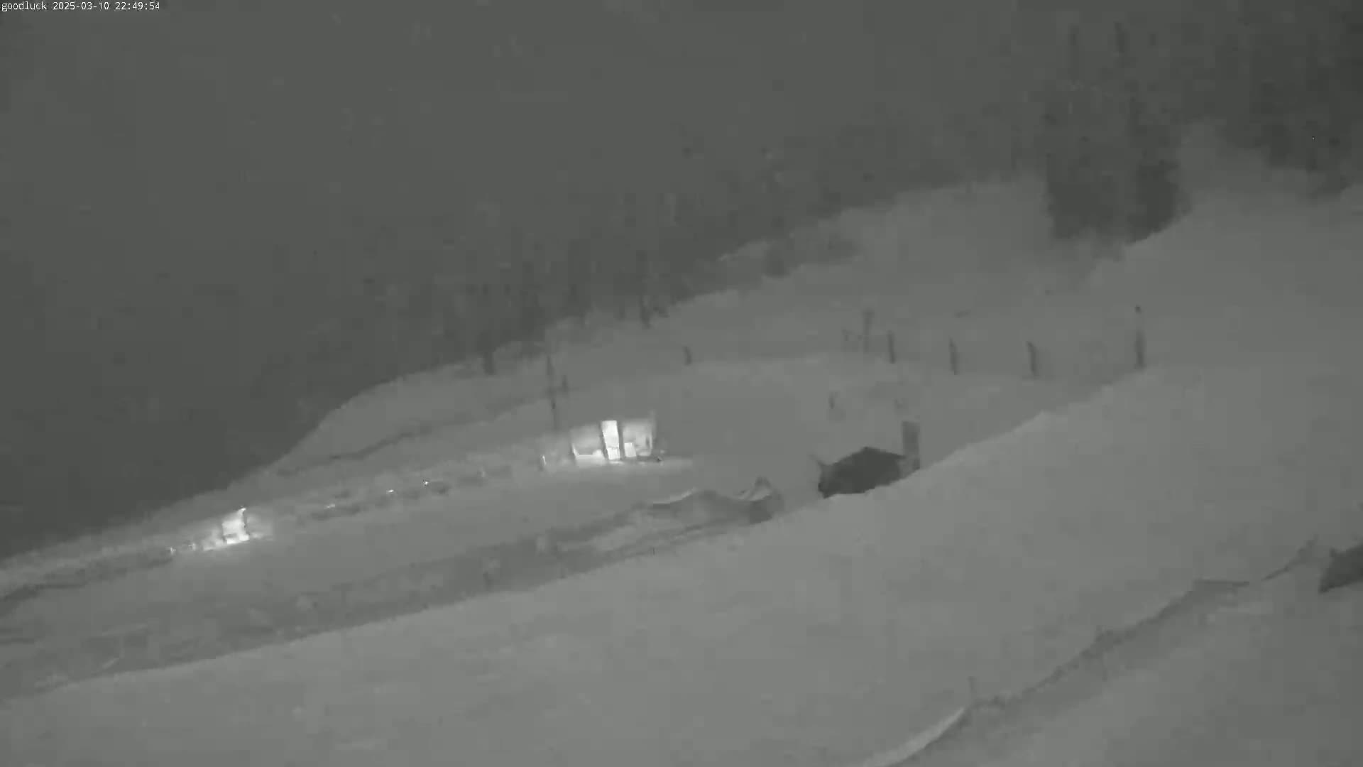 A dark, snowy landscape at night shows a large animal near a structure and a vehicle, with a fence visible in the distance.