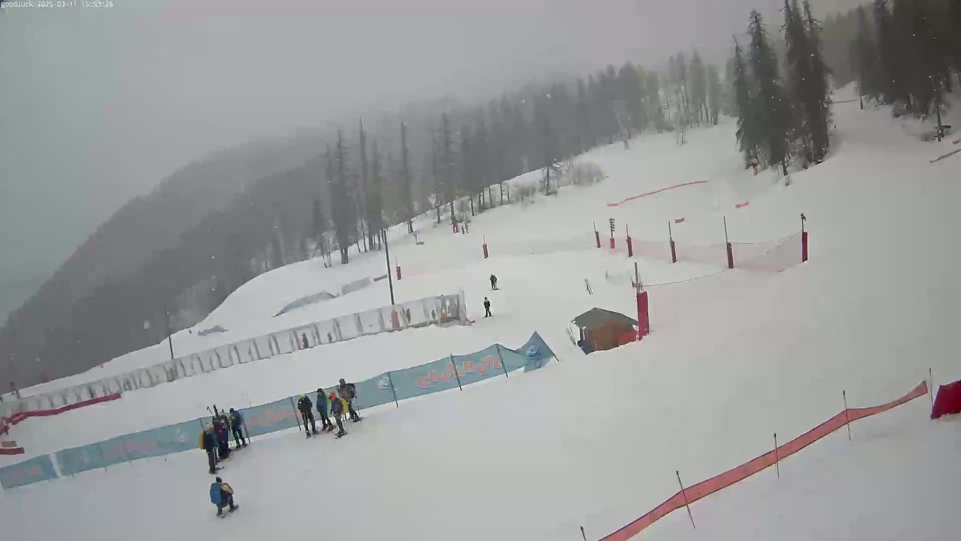 A snowy ski slope with several skiers and snowboarders, surrounded by a snow-covered forest in hazy weather conditions.