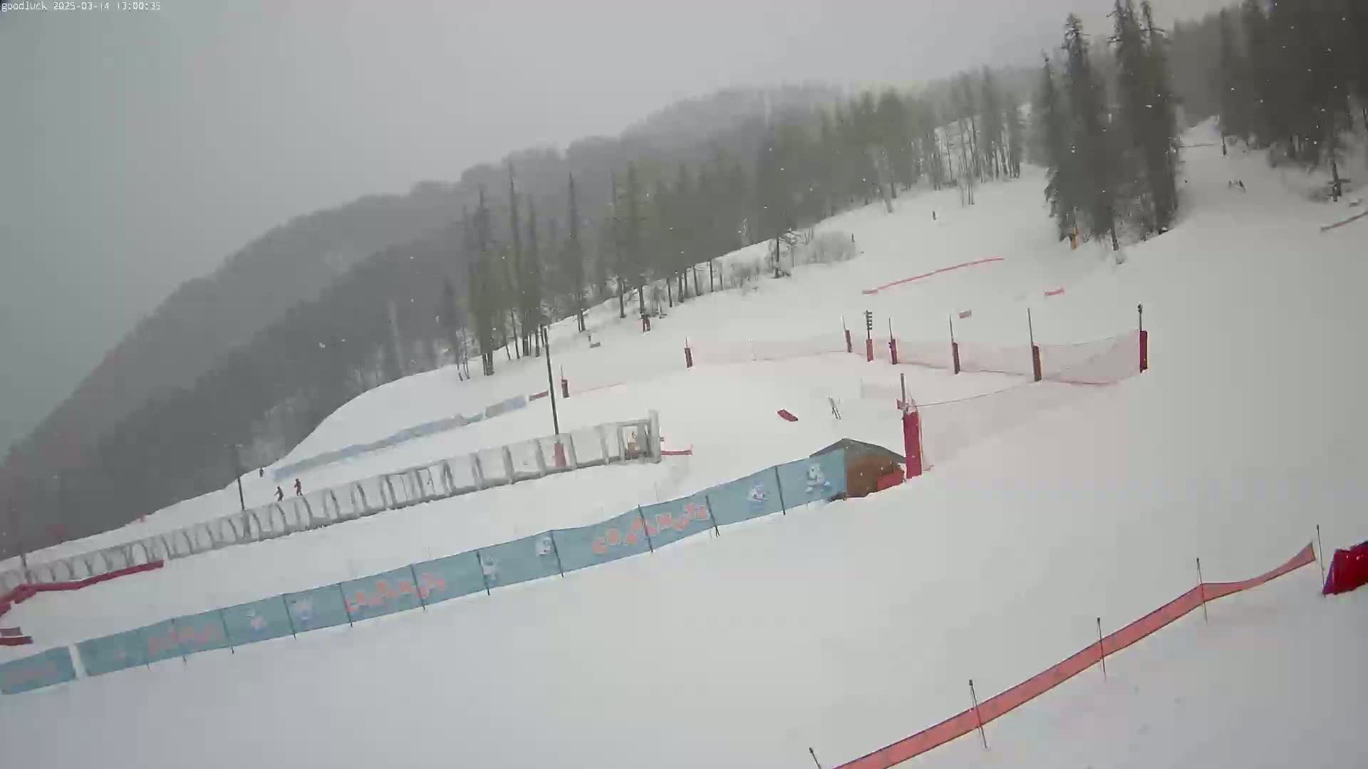 A snowy ski slope with several skiers visible, surrounded by trees in a light snowfall.