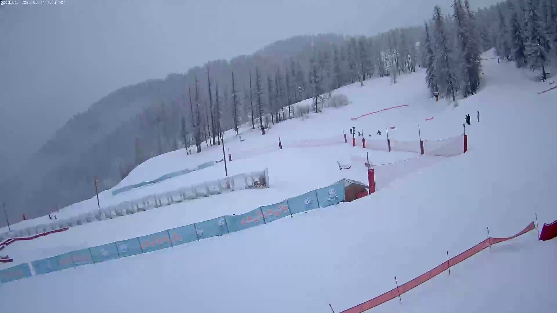 A snowy ski slope with several skiers and snowboarders, surrounded by snow-covered trees under an overcast sky.
