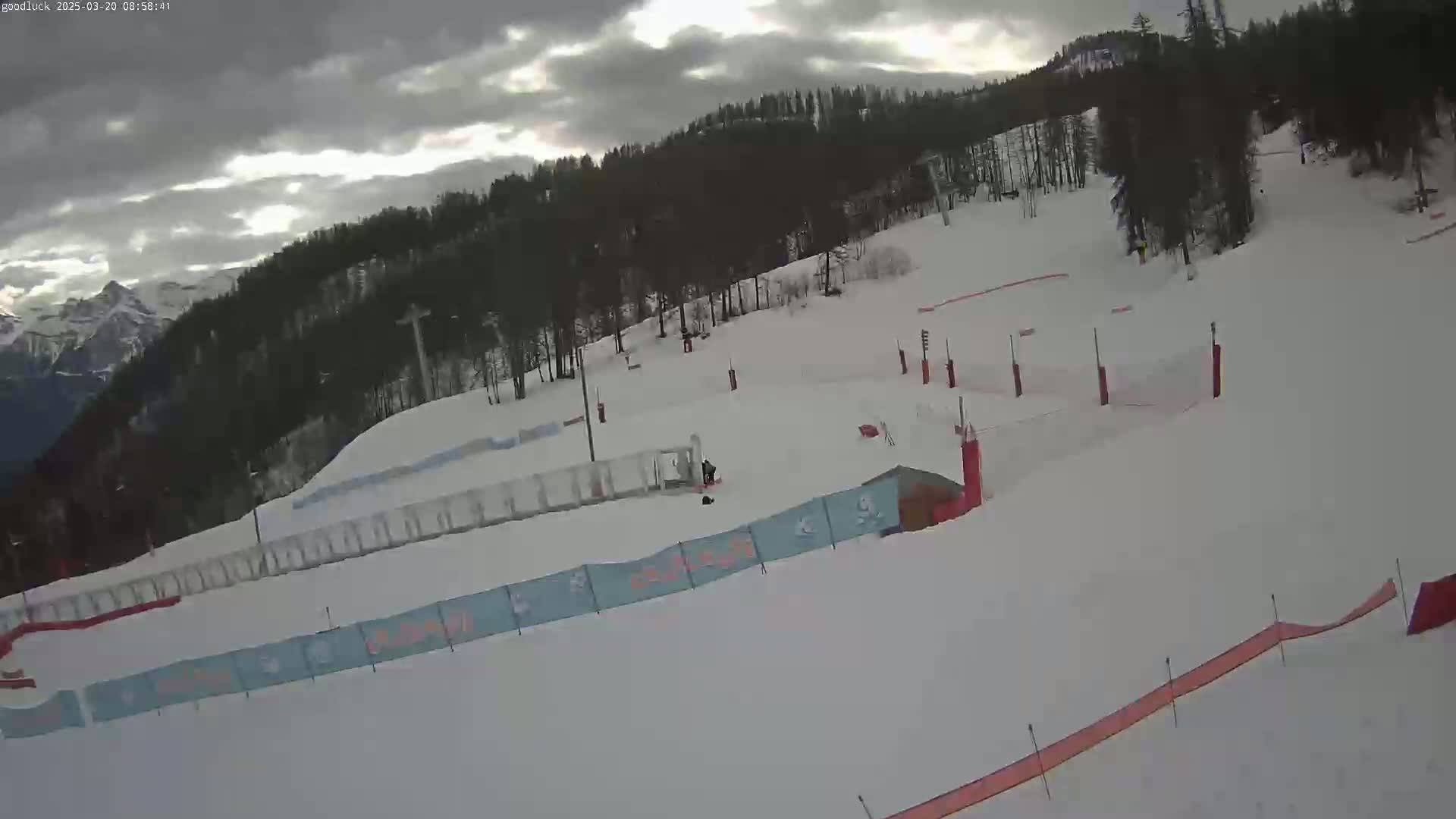 A snowy ski slope with overcast skies is shown, featuring several ski gates and fencing, with a background of snow-covered trees and distant mountains.