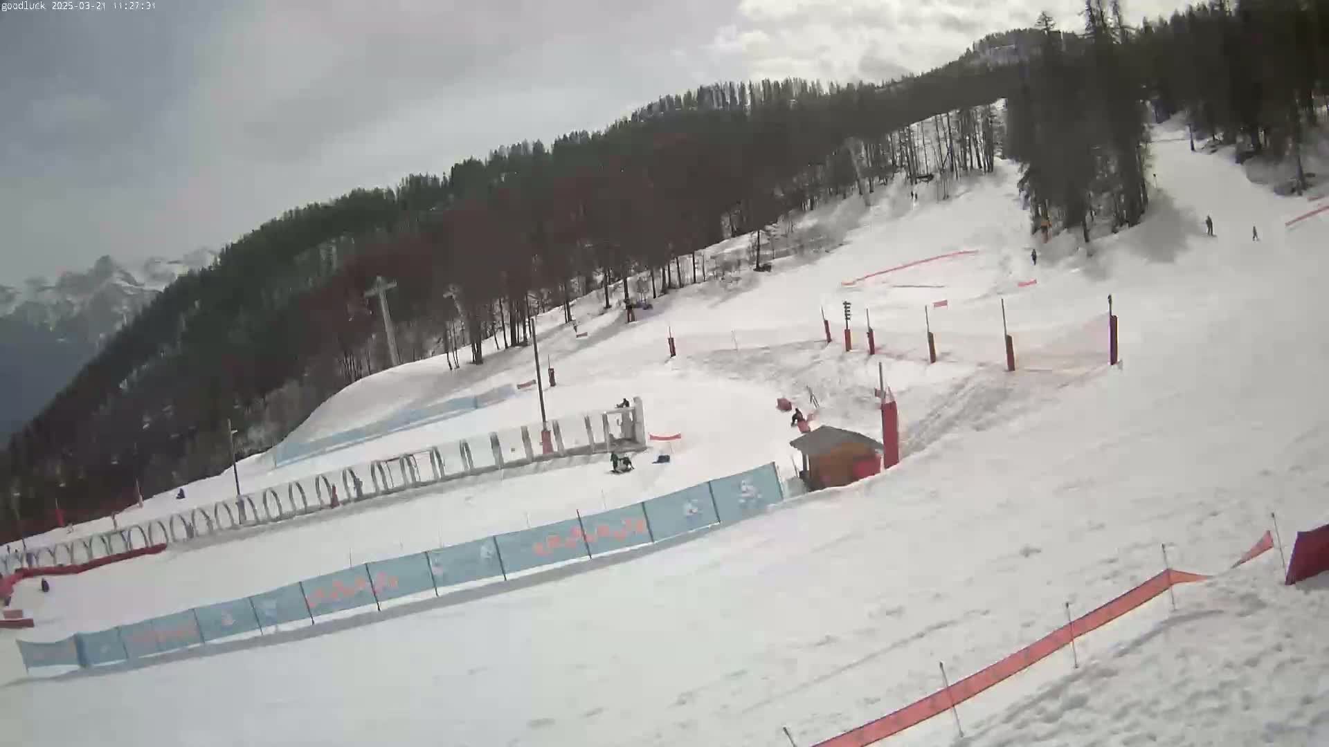 A snowy ski slope with several skiers and snowboarders, surrounded by a coniferous forest under an overcast sky.