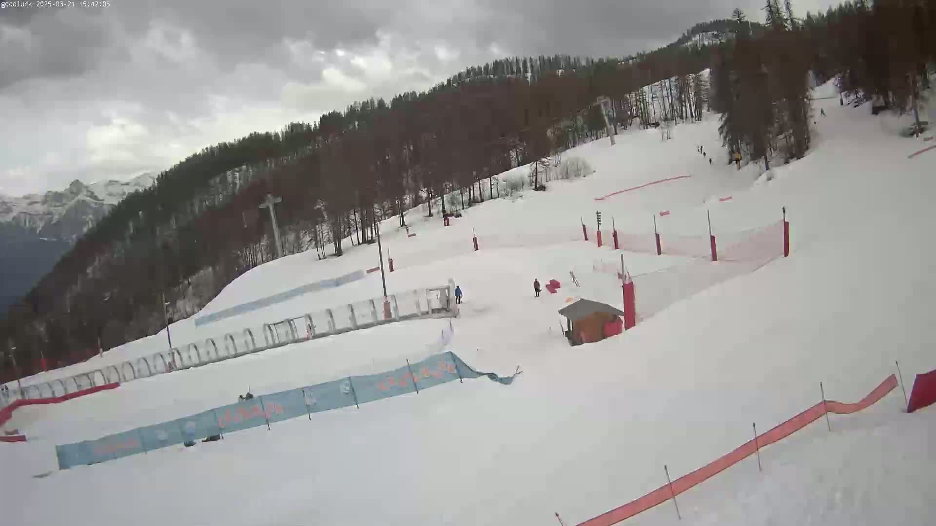 A snow-covered ski slope with several skiers and snowboarders, under an overcast sky, is surrounded by a pine forest and mountains in the background.