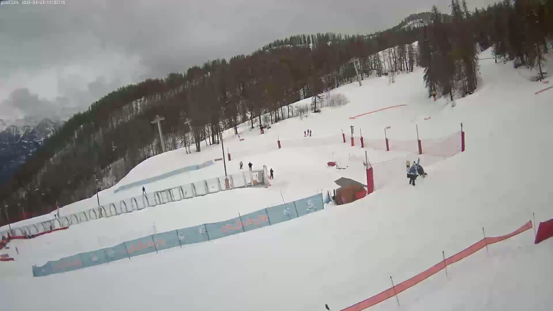 A snowy ski slope with several skiers and snowboarders, surrounded by trees under an overcast sky.