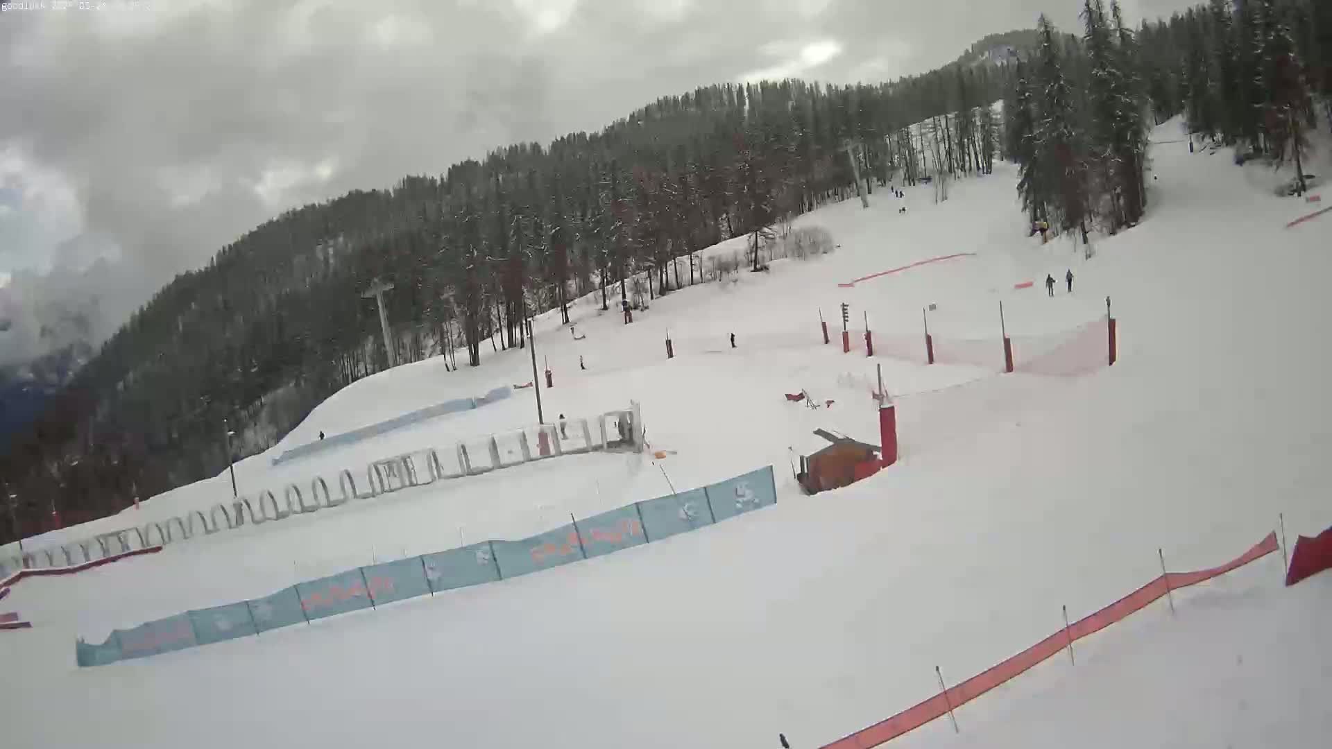 A snowy ski slope with several skiers, surrounded by a forest under an overcast sky.