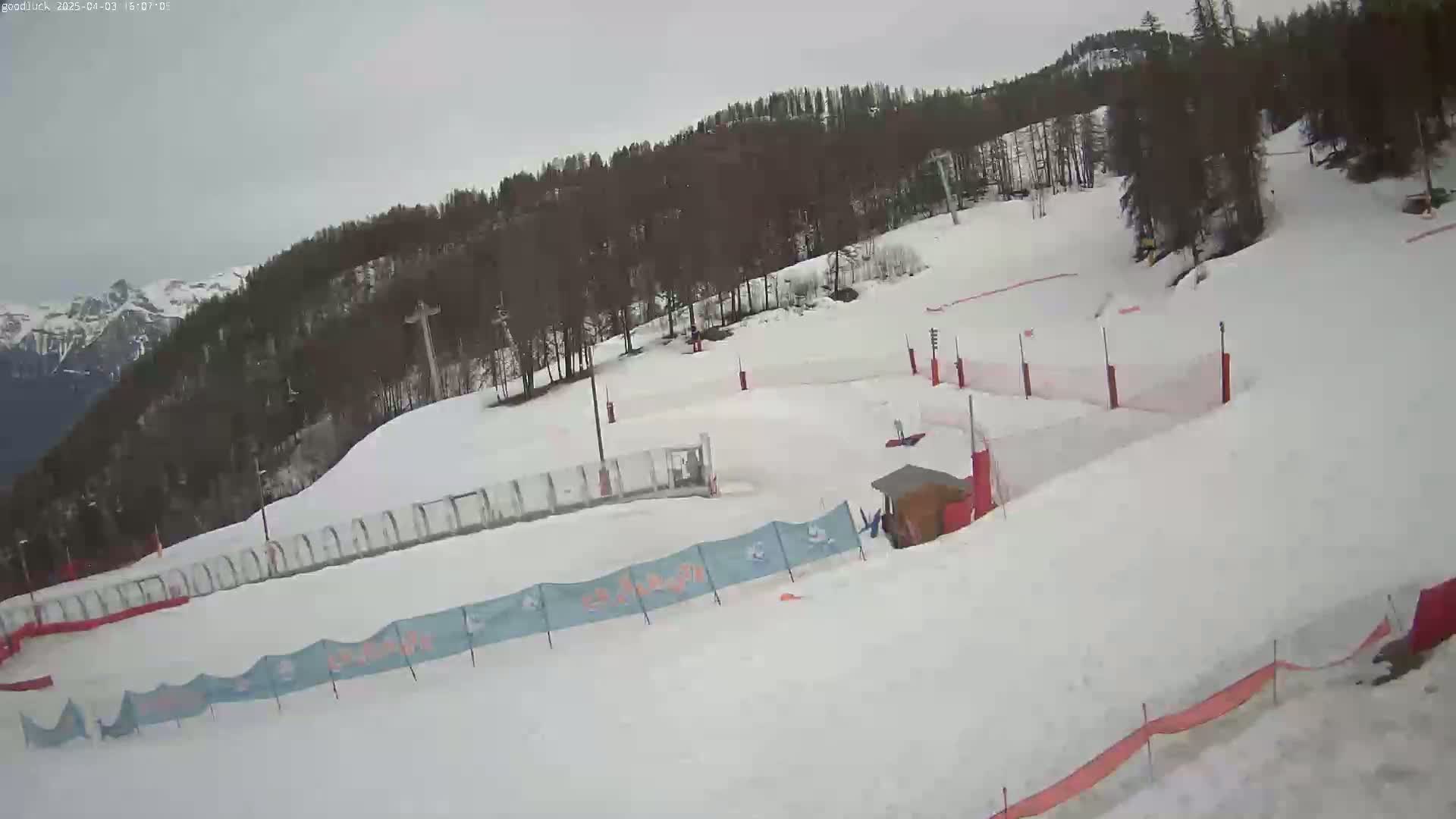 A snow-covered ski slope with surrounding trees under an overcast sky.