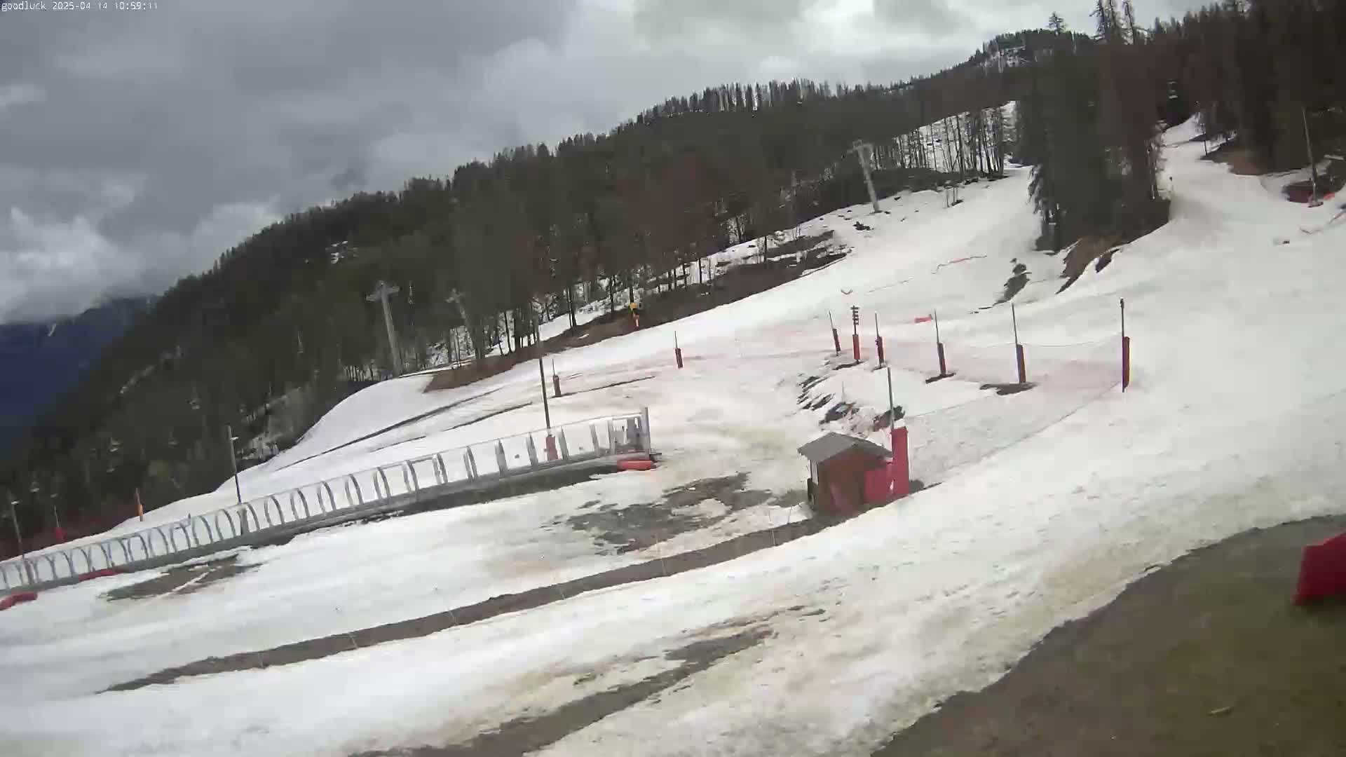 A snowy ski slope with a cloudy sky is partially visible above a treeline in the background.