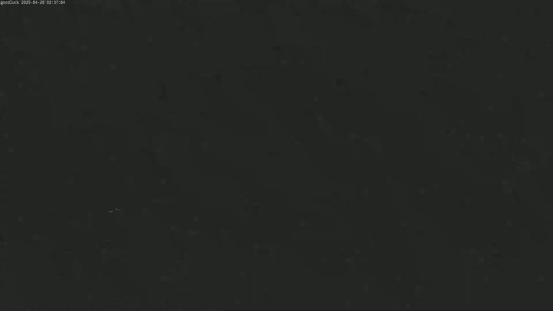 A dark, grainy image shows a mostly black scene with some very faint, lighter specks.