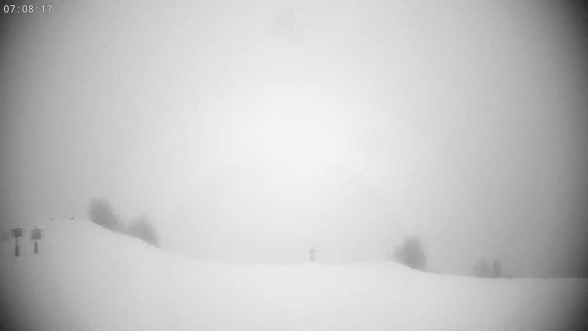 A snow-covered landscape is obscured by heavy fog.