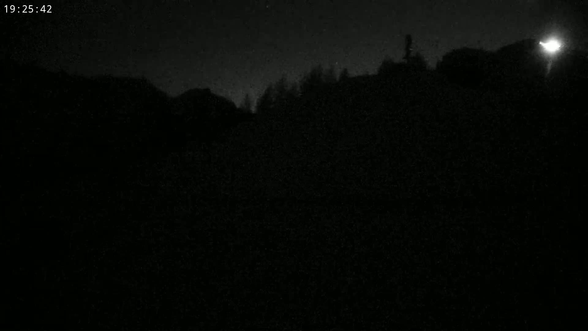 A dark, nighttime scene shows silhouetted trees and buildings under a mostly clear, starlit sky with a single bright light source in the upper right corner.