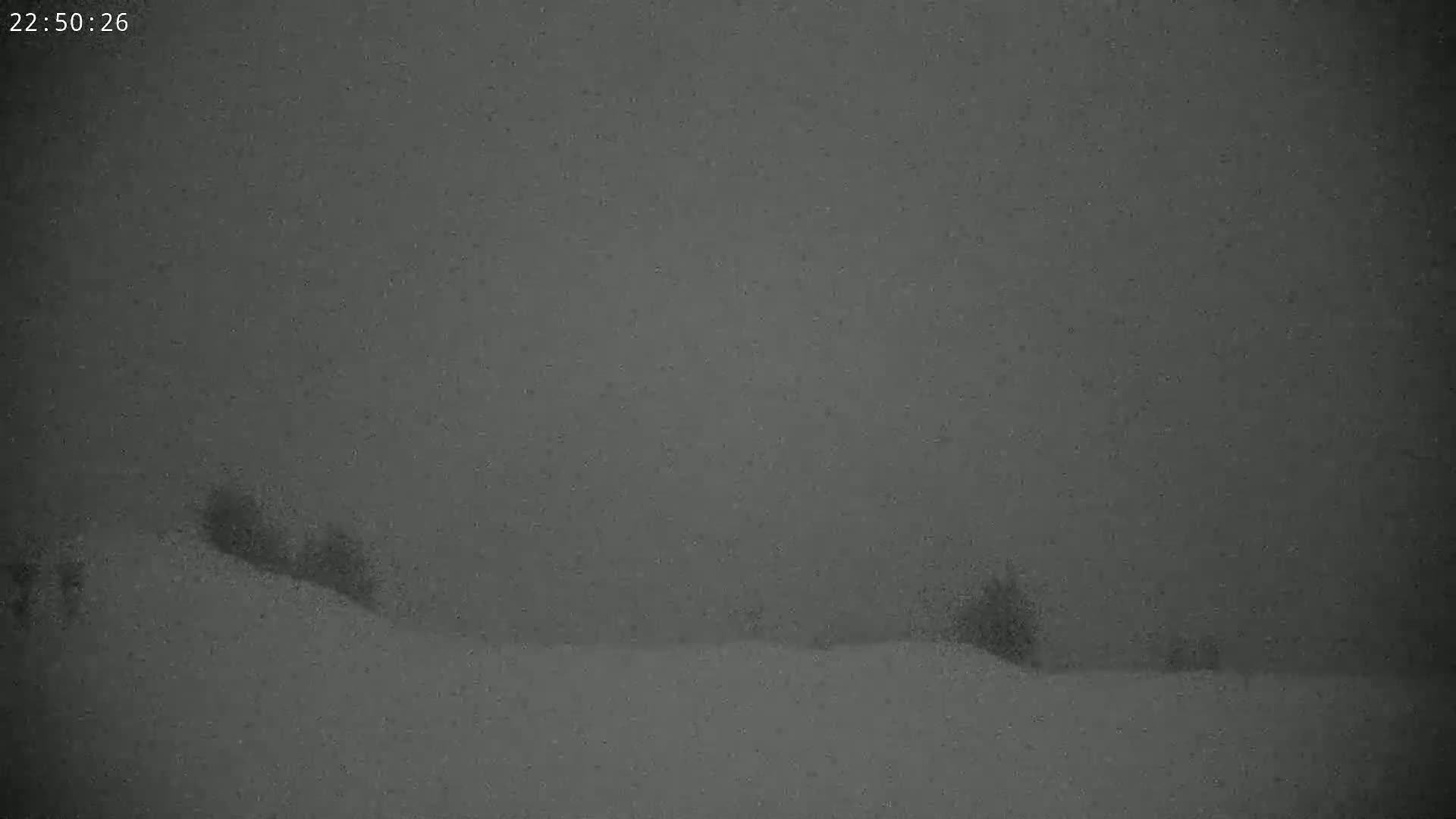 A snow-covered landscape with a few dark, indistinct trees is visible under heavy snowfall at night.