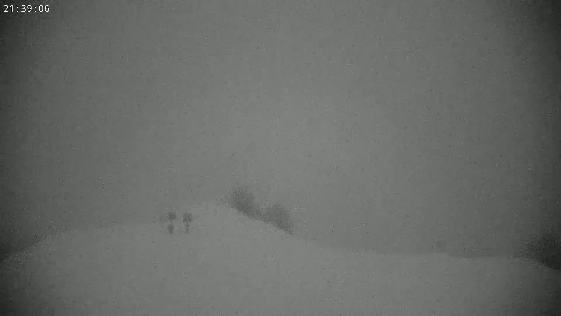 Two figures are barely visible walking on a snow-covered hill in heavy snowfall.