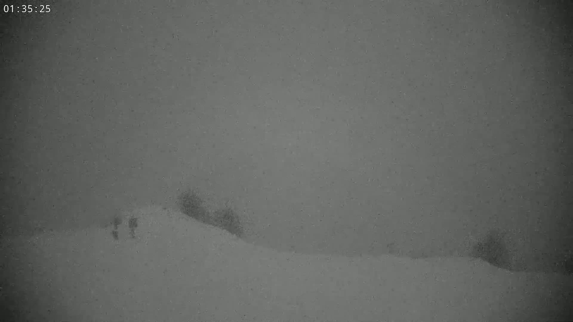 A snowy landscape is visible through heavy snowfall, showing a few indistinct figures and some trees on a hill.