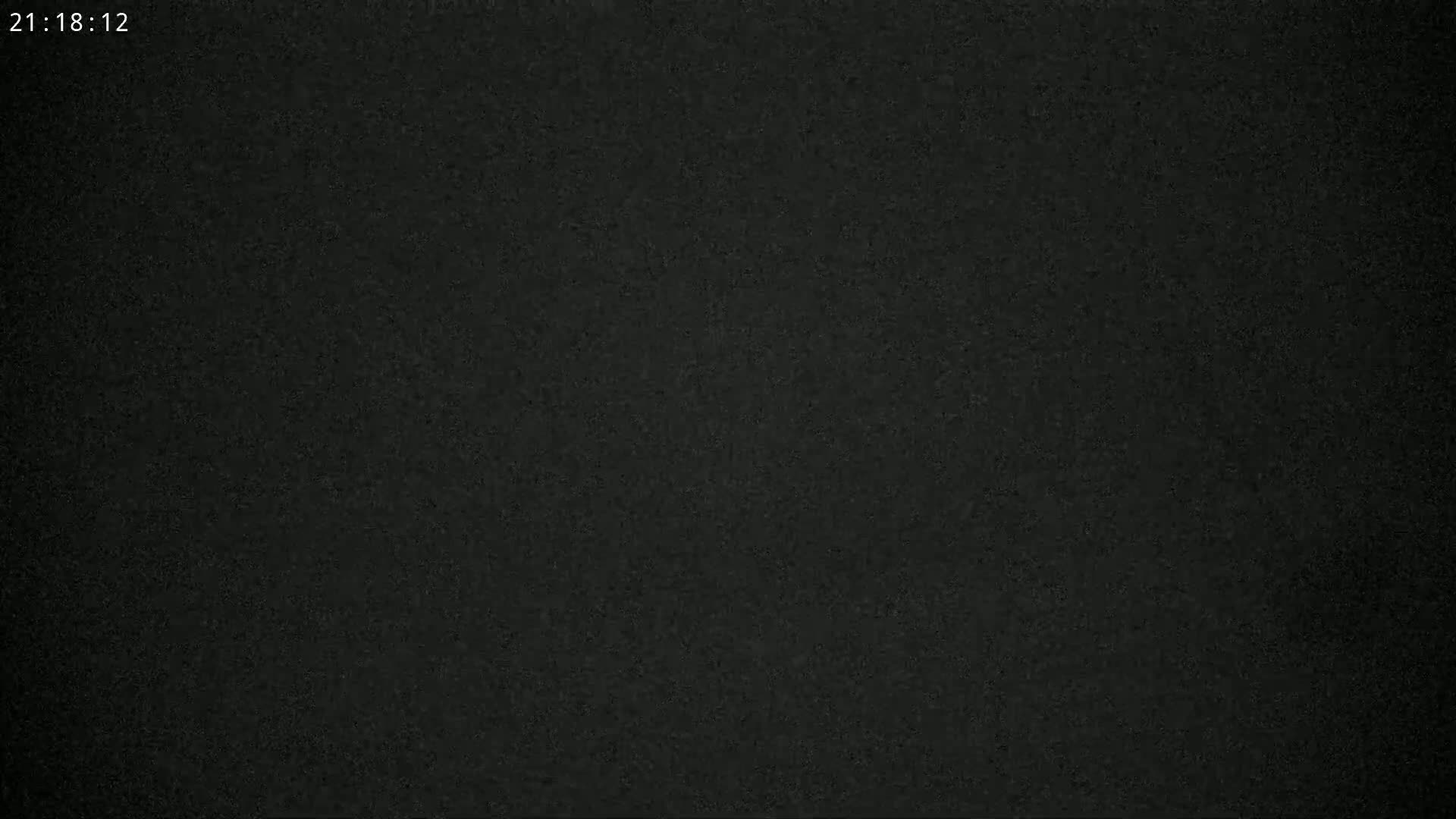 The image shows a dark, grainy, textured surface.