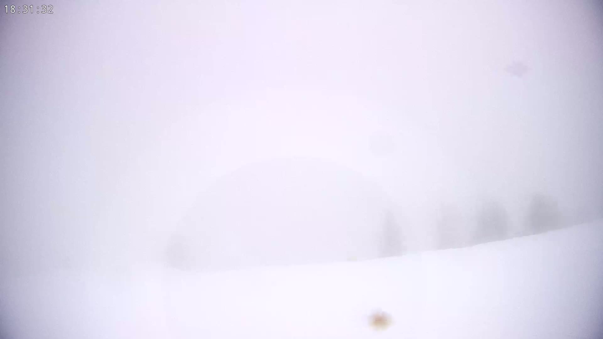 A snowy landscape is barely visible through a thick fog.