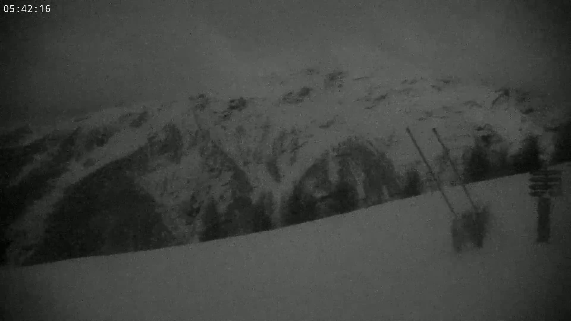 A snow-covered mountainside is visible through heavy snowfall.
