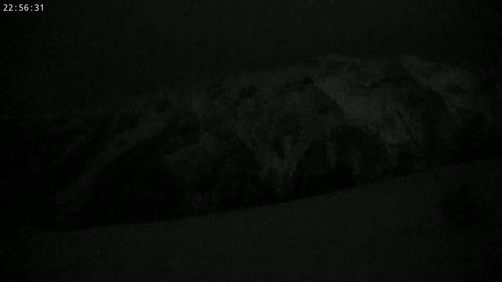 A dark, blurry image shows an indistinct, long object at night.