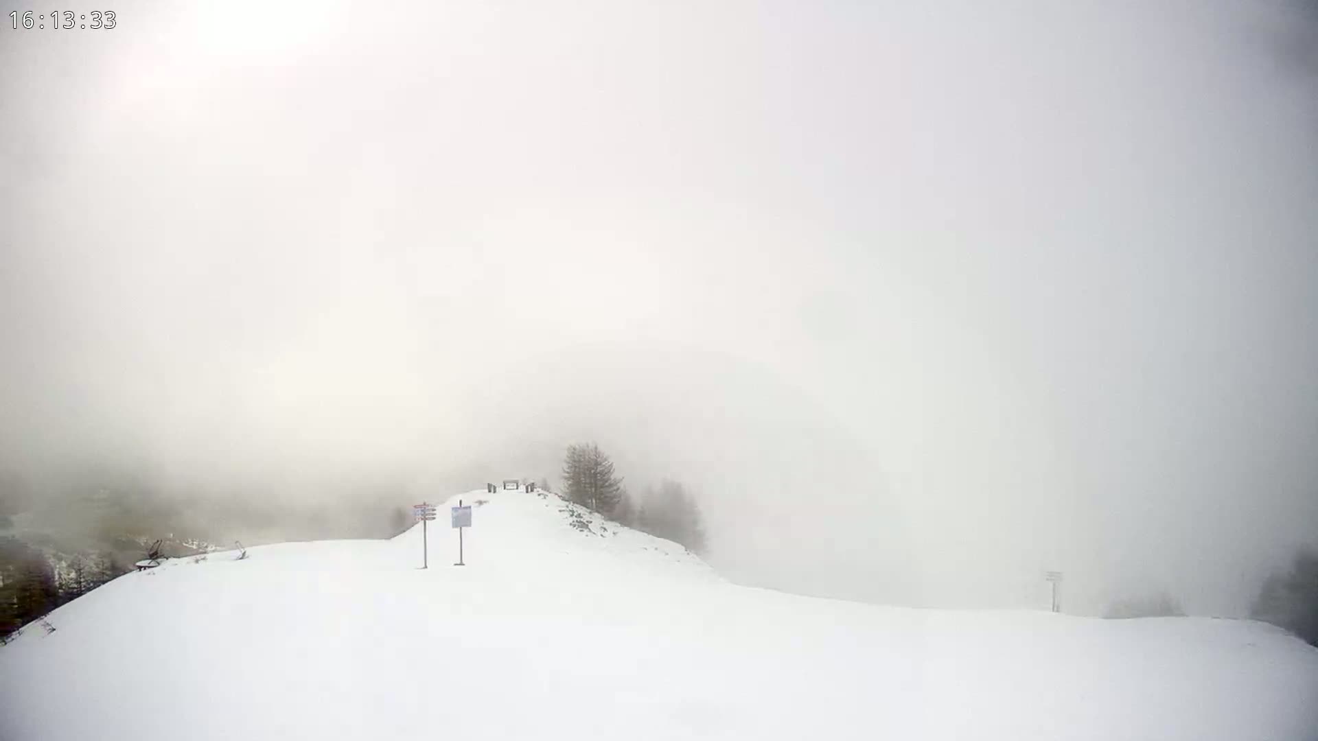 A snow-covered hill is shrouded in dense fog, with a few sparse trees visible near the top.