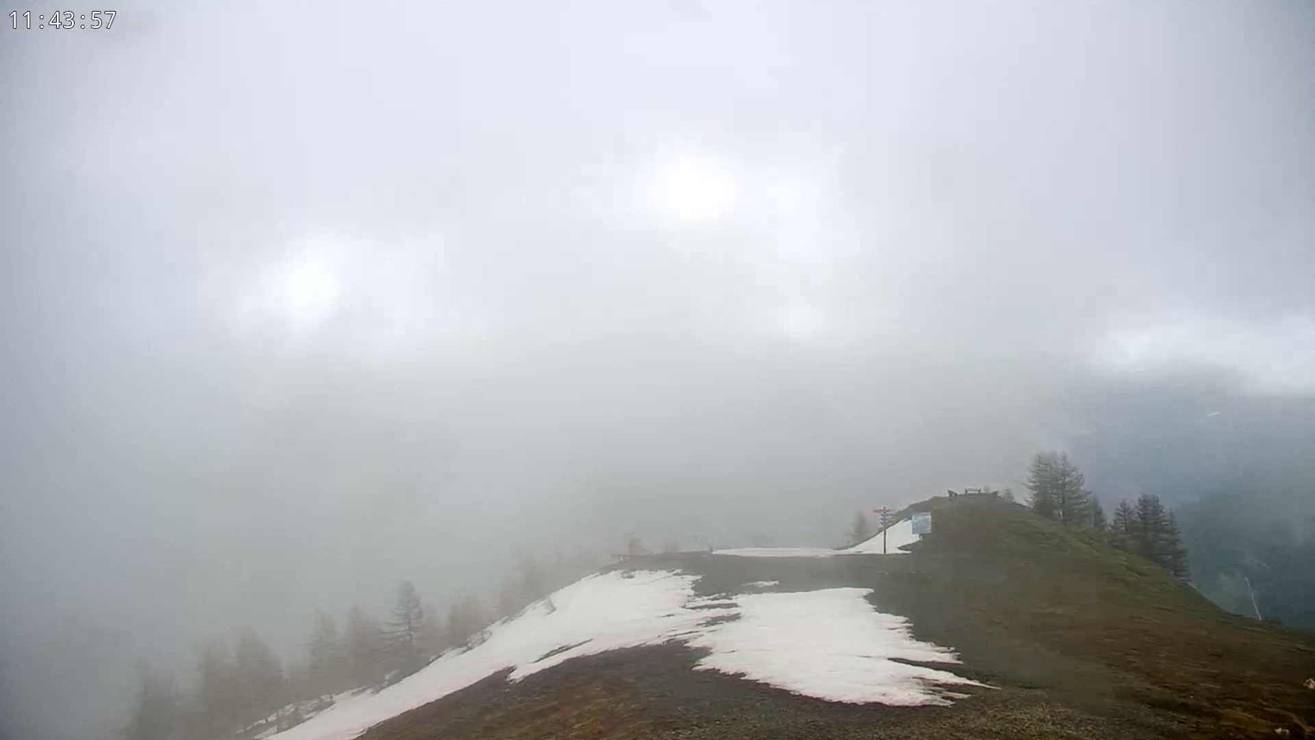 A foggy, overcast day reveals a snow-dusted hilltop with sparse, dark evergreens, overlooking a hazy valley.