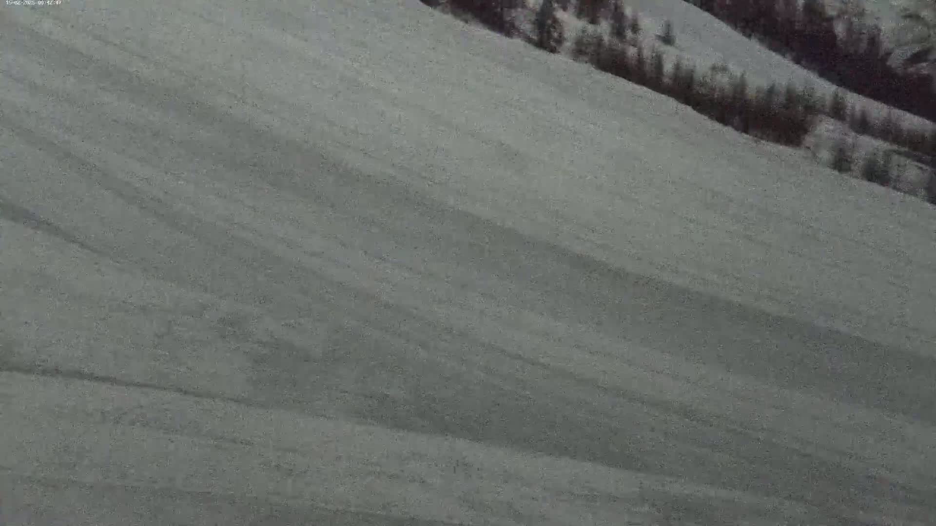 A snow-covered slope shows diagonal lines from skiers or snowboarders, with a dark evergreen forest visible in the background.