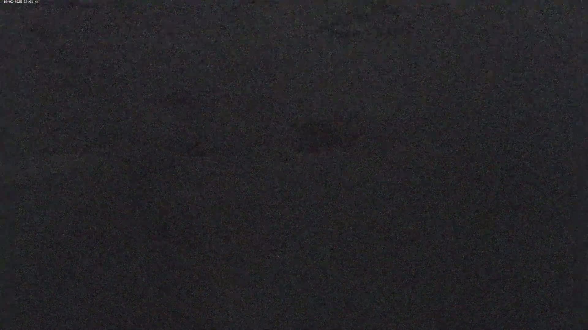 The image shows a dark, grainy, textured surface.
