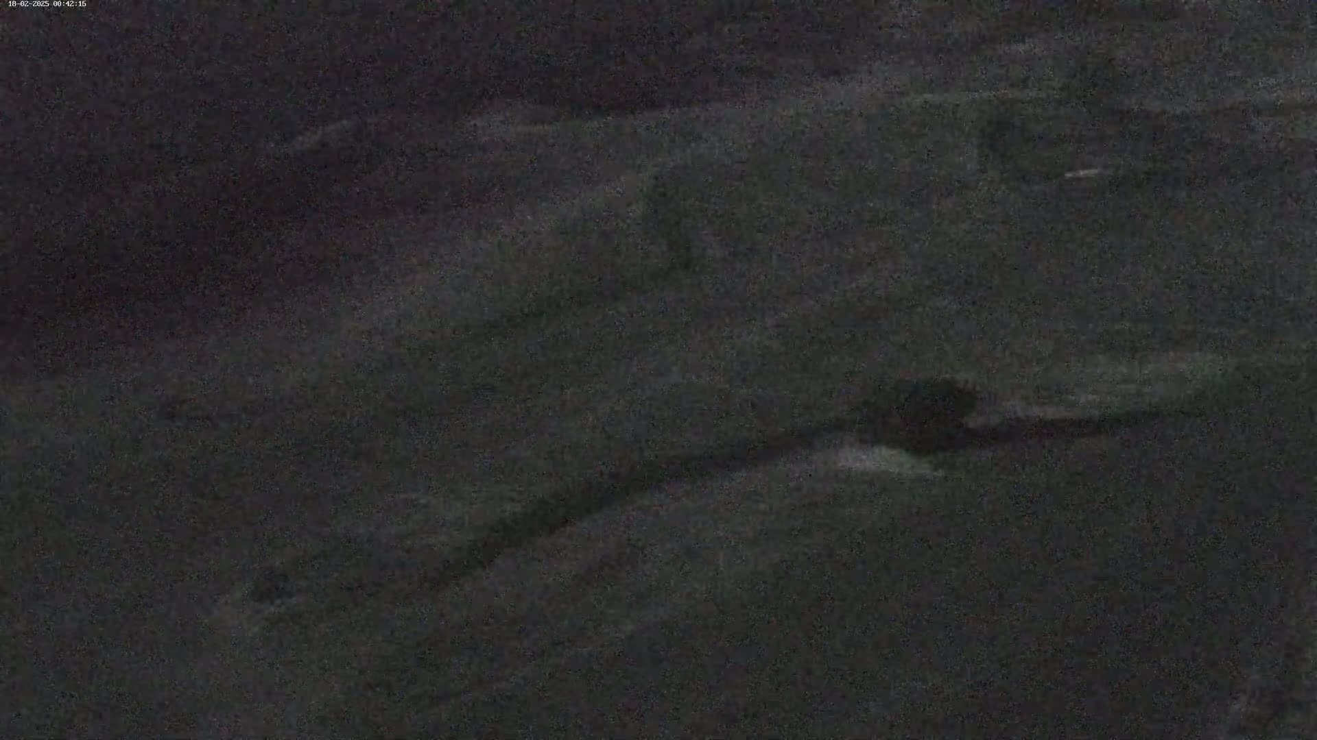 A low-light, grainy image shows a dark, possibly snowy or overcast landscape at night.