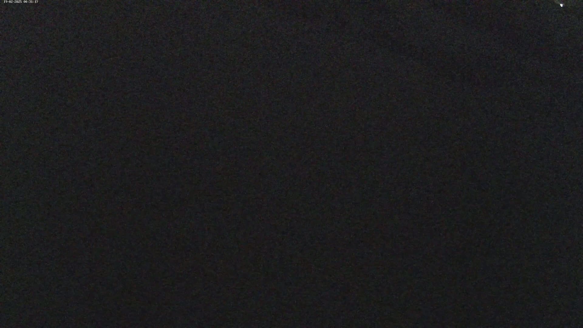 The image shows a uniformly dark, grainy surface.