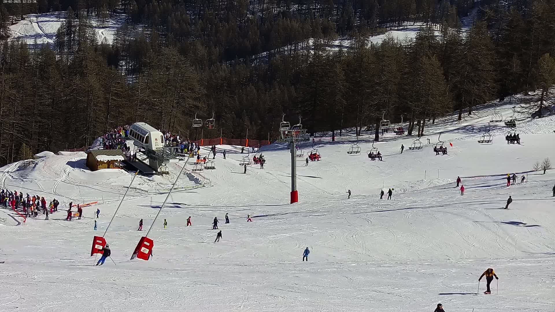 A sunny ski slope with numerous skiers and snowboarders, chairlifts, and a cable car, surrounded by a snow-covered forest.