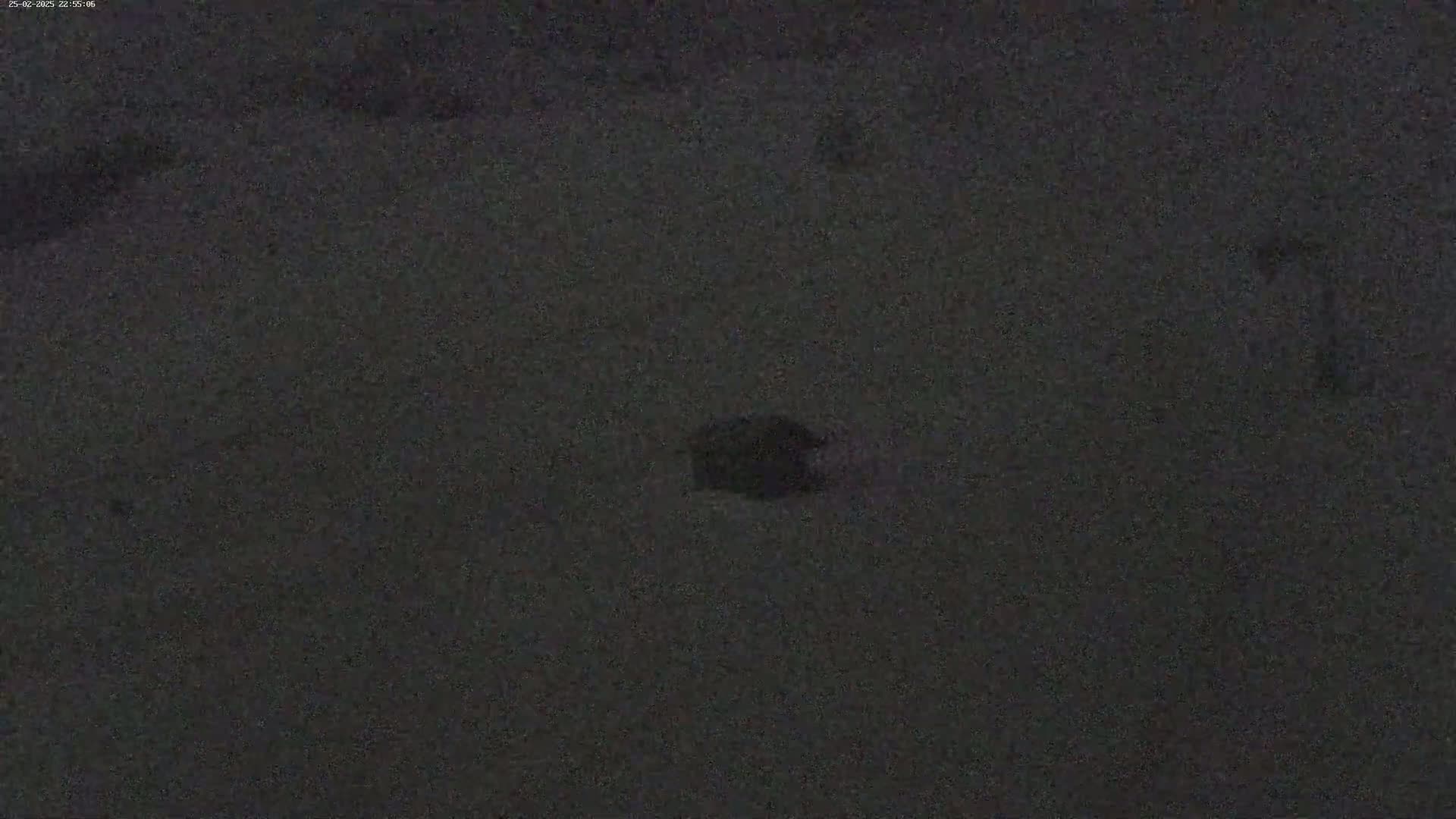 A dark, blurry image shows a small, dark object in a large, dark, flat area at night.