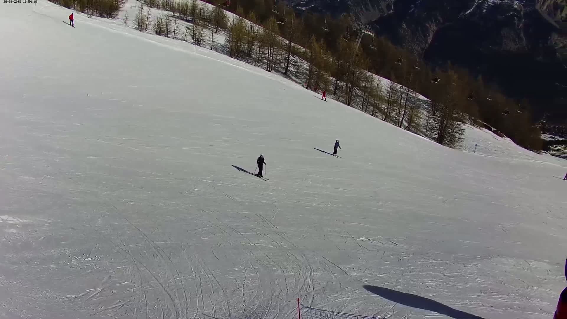 Several skiers traverse a snow-covered slope on a sunny day, with dark evergreen trees lining the upper edge of the hill.