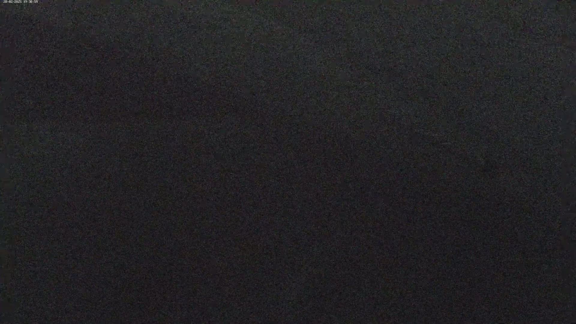 The image is a uniformly dark gray or black field with a slightly grainy texture.