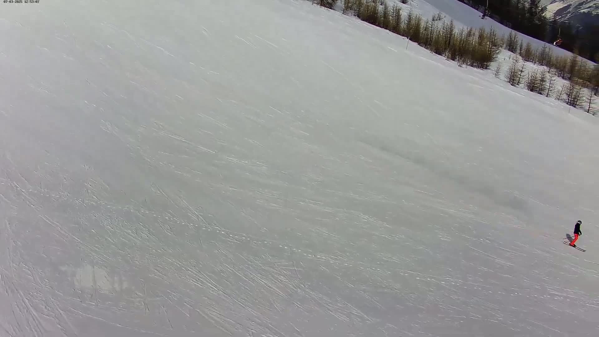 A skier in orange pants skis down a long, snowy slope bordered by a line of evergreen trees under sunny conditions.