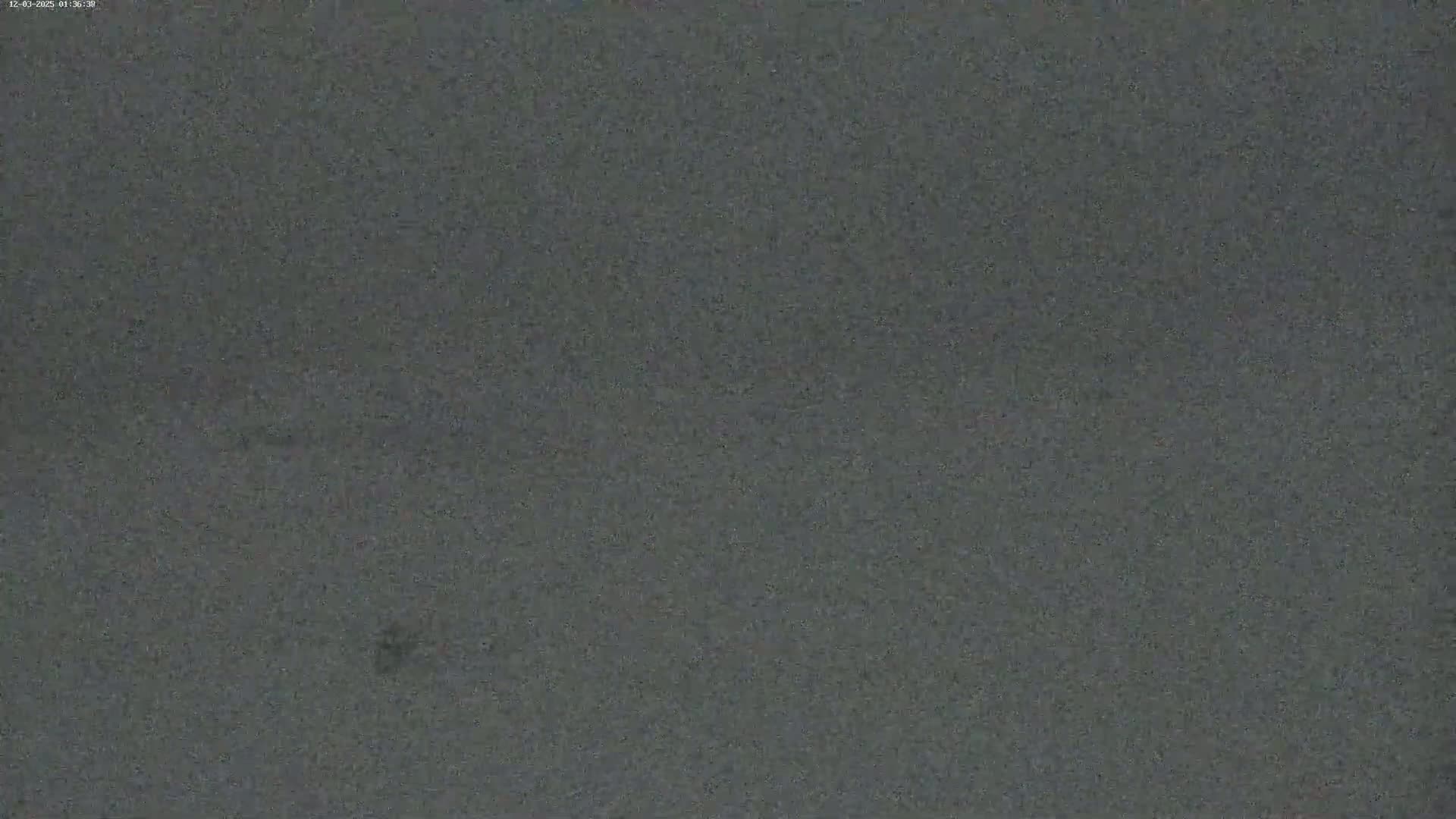 The image shows a dark gray, textured surface.