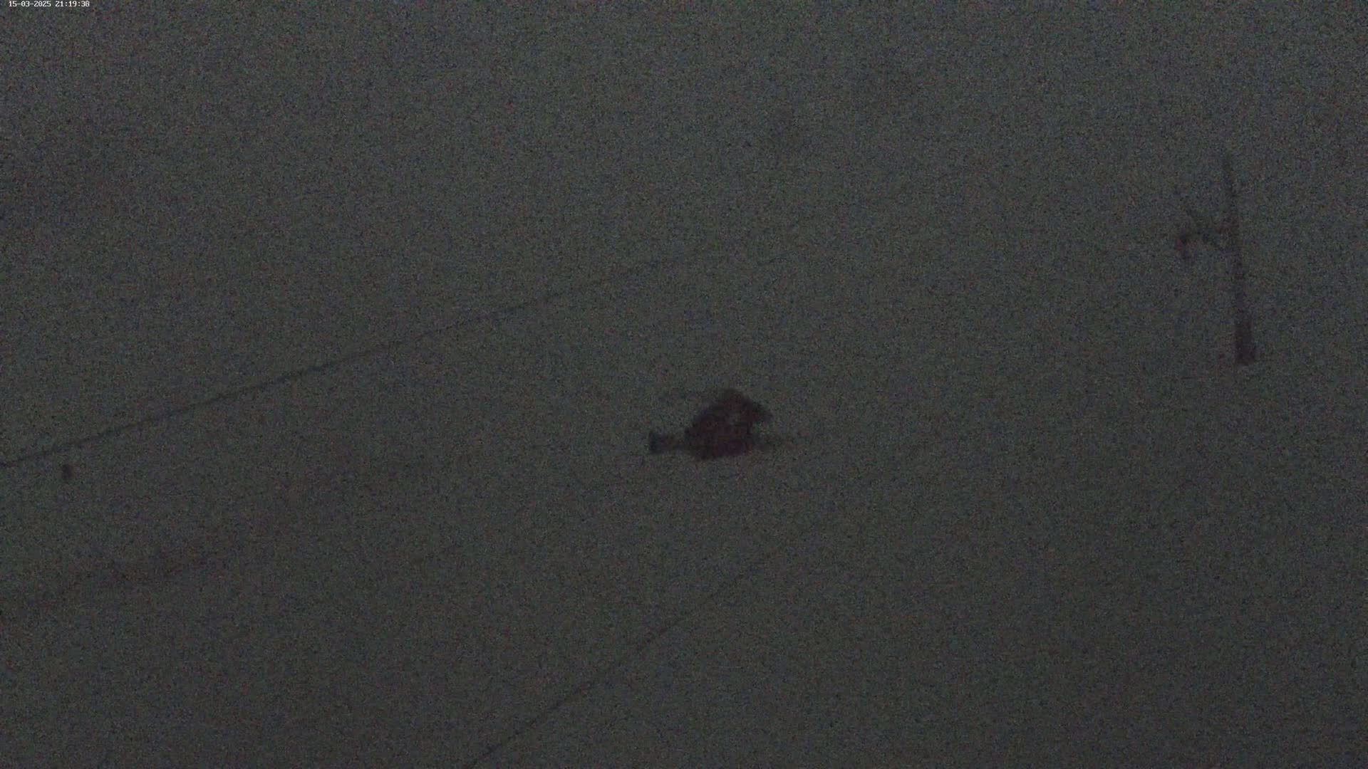 A blurry image shows a small, dark object on a dark gray surface, possibly under a dark sky at night.