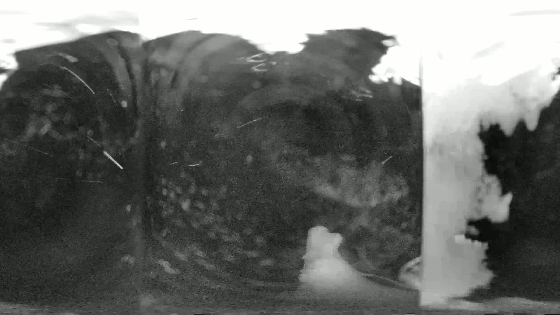 A grainy, black and white image shows an indistinct, dark object or scene, possibly underwater, with a brighter, hazy area to the right.