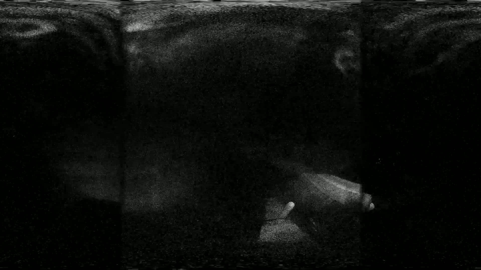 A grainy, dark image shows indistinct shapes and light speckles.