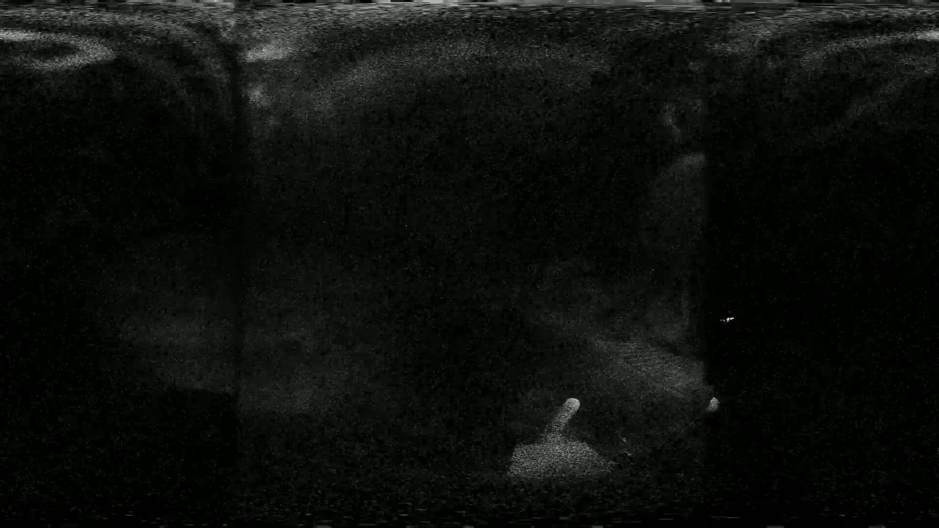 A grainy, dark image shows indistinct shapes resembling blurry, white forms against a mostly black background.