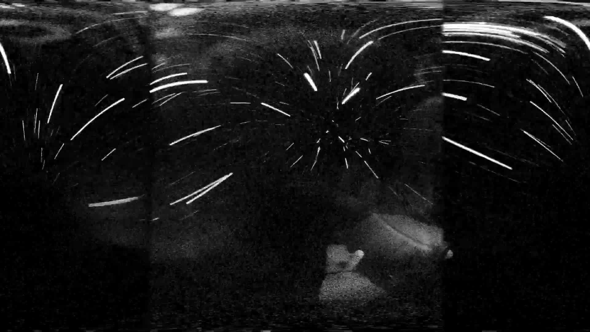 A dark image shows bright white streaks of light radiating outward from a central point, resembling a burst of fireworks or star trails.