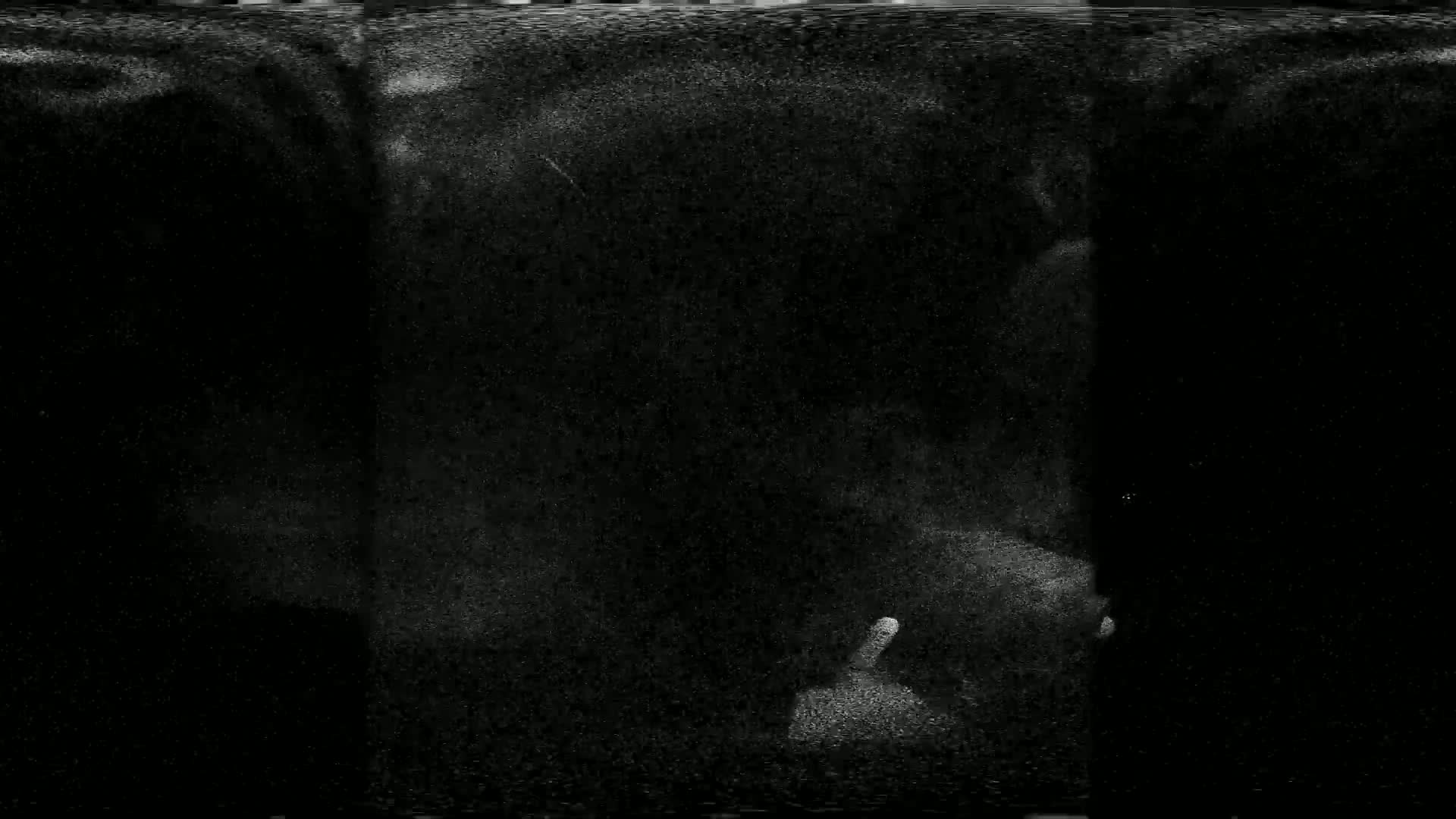 A grainy, dark image shows a mostly black background with scattered specks of white, resembling static or dust.