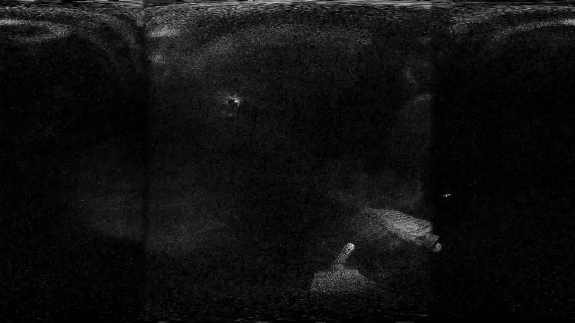 A grainy, dark image shows indistinct shapes and light speckles, possibly depicting a nighttime scene with poor visibility.