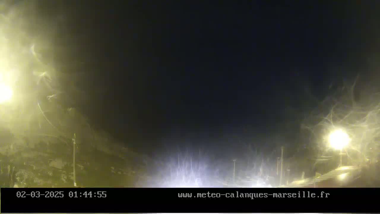 A nighttime scene shows a road with blurry, snow-like particles in the air, illuminated by streetlights.