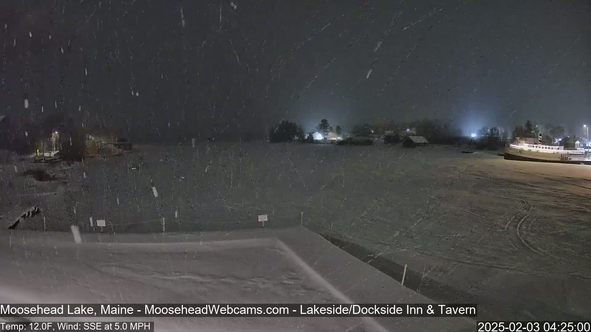 A nighttime view of a snow-covered landscape with a body of water and buildings in the distance under falling snow.