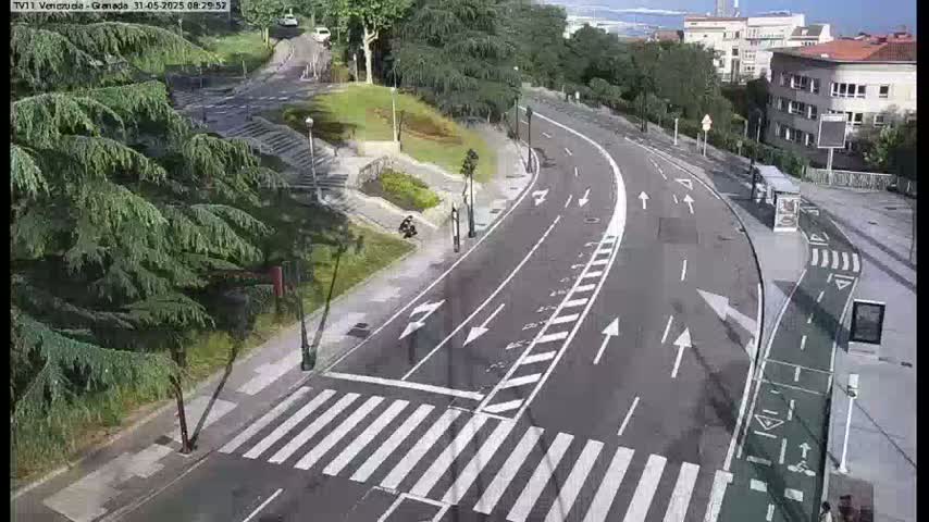A mostly empty roadway with a crosswalk curves through a sunny area with green trees and buildings in the background.