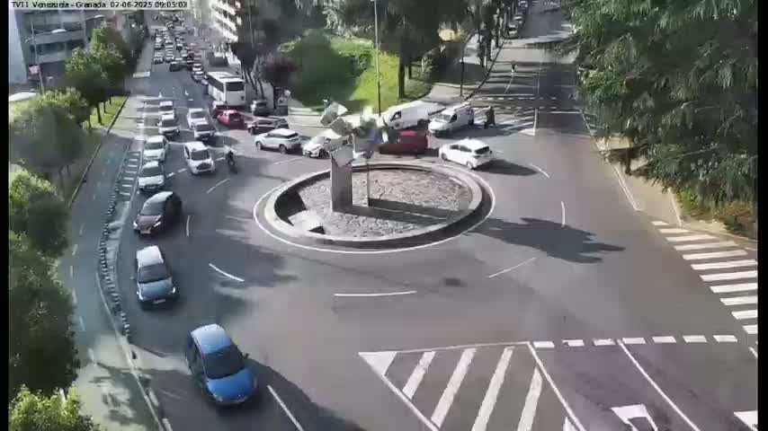 A sunny day shows several cars navigating a roundabout surrounded by trees and buildings.