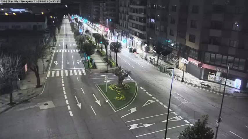 A mostly empty, well-lit city street at night, with buildings lining both sides and some sparse vegetation in a small median.