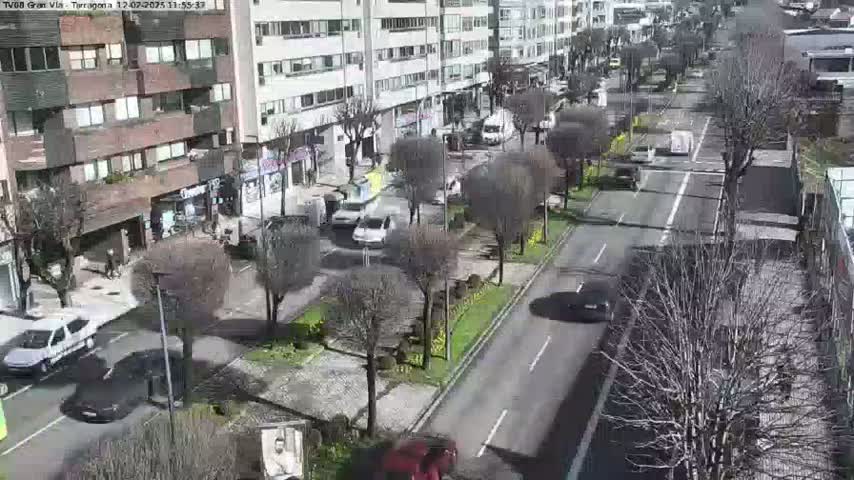 A sunny day reveals a city street scene with several cars parked and driving along a road lined with leafless trees and multi-story buildings.