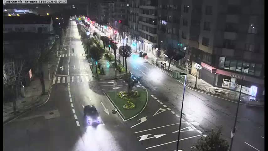 A wet, city street at night is sparsely populated with vehicles, lined with buildings and trees, and illuminated by streetlights.
