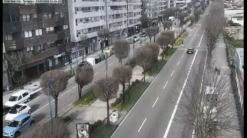 A mostly empty, tree-lined city street with several cars and buildings visible on a sunny day.