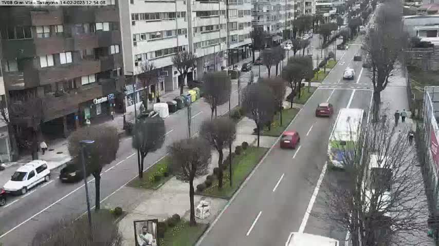 A city street scene on an overcast day shows several cars driving along a tree-lined road, with buildings visible on either side.